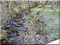 Part of the Afon Camlais in a dry spring