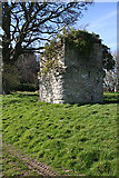 NS9773 : Lochcote Tower by Anne Burgess