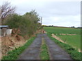 NZ2448 : Track towards Nettlesworth West House Farm (footpath) by JThomas