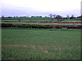 NZ3202 : Farmland near Birkby by JThomas