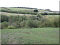 Grazing land, Clough Dene