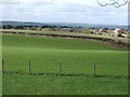 Farmland off Syke Road