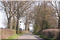 The lane to Dymock near Old Rock