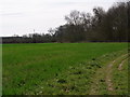 Along the riverside towards Alcester