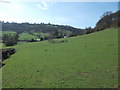 Footpath towards Pentre Farm