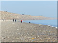 Two dogs, four people, Hornsea beach