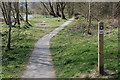 Riverside footpath, Selkirk