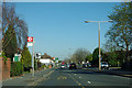 Court Farm Avenue bus stop