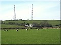 Pastures southwest of Round Meadows Farm (2)