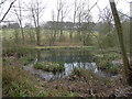 SP0324 : Beesmoor Brook pool by Terry Jacombs