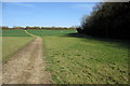 Boundary Walk past Oakhill Woods