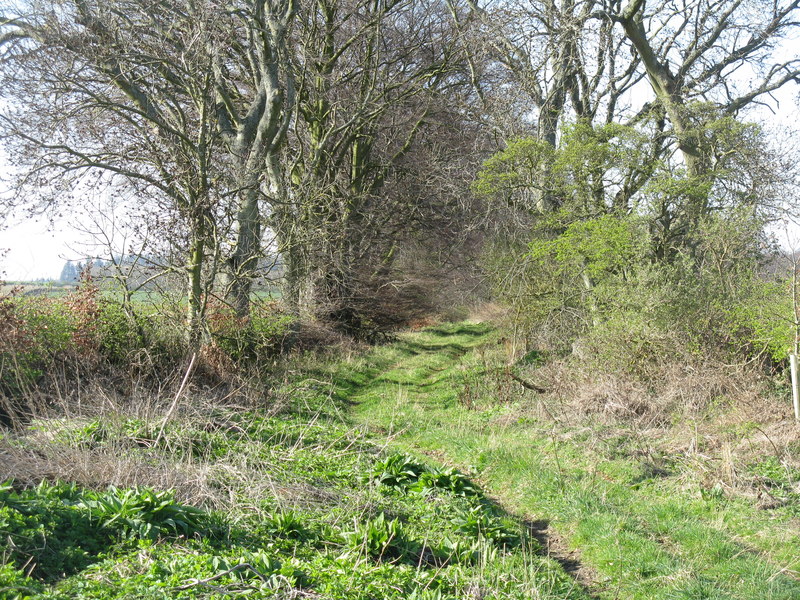 Moor Road at Peaston © M J Richardson :: Geograph Britain and Ireland