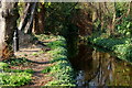 River Wandle, Morden Hall Park