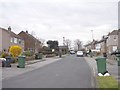 Plane Tree Grove - looking towards Victoria Avenue