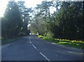 Penshurst Road, Chiddingstone Causeway