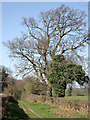 Bridleway to Bromley near Bridgnorth, Shropshire