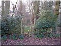 Start of footpath north of Clonterbrook Farm