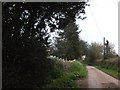 Harepathstead Road passing Clyst Gerred Farm