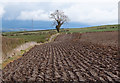 Ploughed field near Hirst