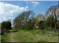 Footpath north of the Royal Military Canal and Hythe Golf Course