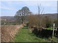 Footpath near Brightholmlee