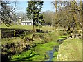 Devonport Leat by Tor Royal House