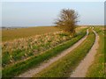 SU1551 : Track and farmland, Enford by Andrew Smith