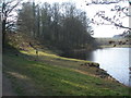 South bank of More Hall Reservoir