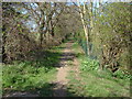 Footpath, West Clandon