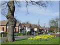 Springtime in Buckingham Road, Penn, Wolverhampton