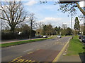 Uxbridge Road looking toward Courtenay Avenue roundabout