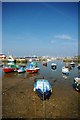 Brixham Tide