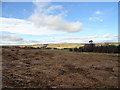 Distant view of Blackburn Lodge