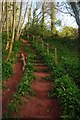 Stairs & Wild Garlic