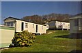 South Wight : Whitecliff Bay Holiday Park