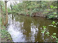 The Longford River in Hanworth Park