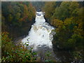 NS8841 : The Falls of Clyde - Corra Linn by Alan O'Dowd