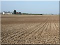 Farmland, High Easton Farm