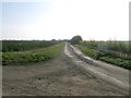 Wootton Dale Farm access road