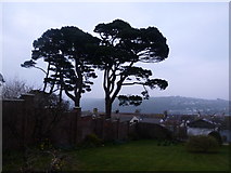 SX1251 : Evening view of a front garden above Fowey by Ruth Sharville