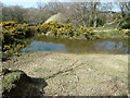 Pond by footpath HW 20 near Hill Farm