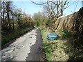 Looking north on Magreed Lane