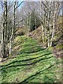 Footpath in Bull Fall, Cragg Vale