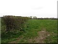 Dry ground off Earles Lane