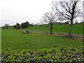 Gortinagin Townland