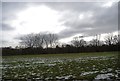 View cross a snowy field