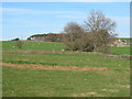 Pastures and woodland southwest of Highfield Farm