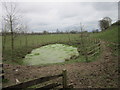 NY3558 : The pond near The Croft (farm) by Ian S