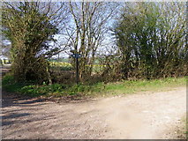 SU0522 : Bridleway Junction by Maigheach-gheal