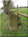 Gatepost with benchmark